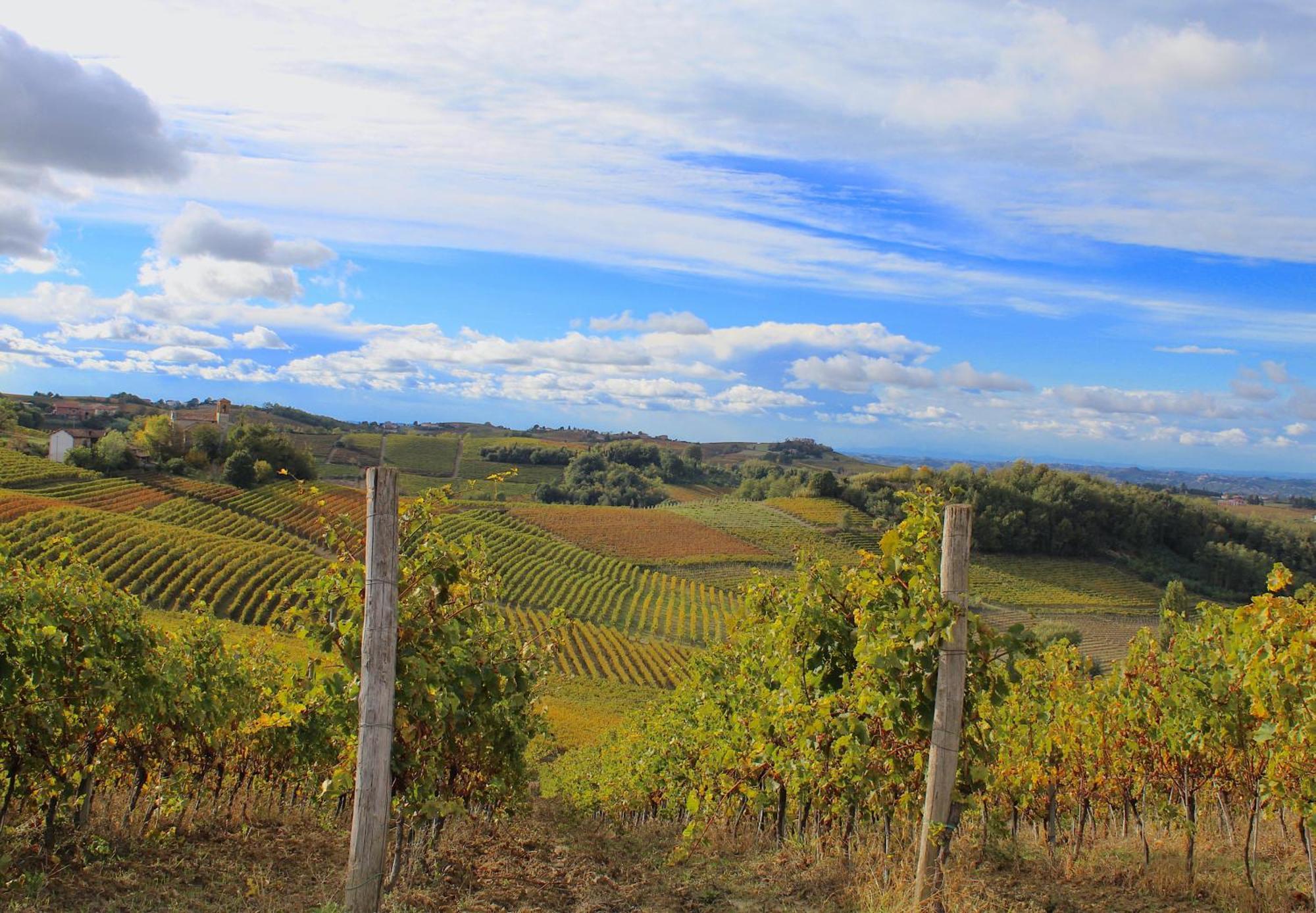 فيلا Amazing Langhe And Monferrato | House With Garden Calamandrana المظهر الخارجي الصورة
